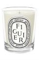 Diptyque Scented Candle Figuier Nb