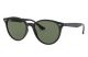 Ray Ban 0RB4305 601/71 53 BLACK GREEN Injected Unisex