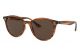 Ray Ban 0Rb43058207353 0 Stripped Red Havana Injected U Nb