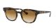 Ray Ban 0RB4324 710/51 50 HAVANA CLEAR GRADIENT BROWN Injected Unisex