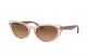 Ray Ban 0Rb4314N12815154 Nina Icons Trasparent Light Brown Injected W Nb